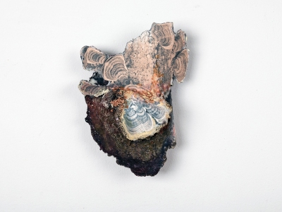 W0003
