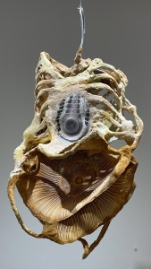 Hanging Cage, 2023, carborundum prints on paper formed over paper clay, plastic, metal, pigments, 26 x 14 x 12 inches