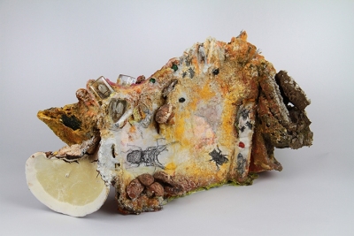 GENUS BEETLES animation with sculptural book