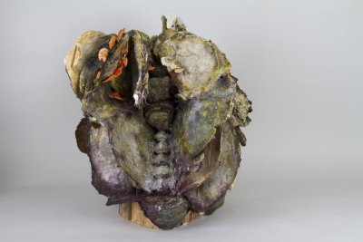Bone Fungus