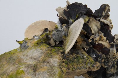 Stape Stem DETAIL