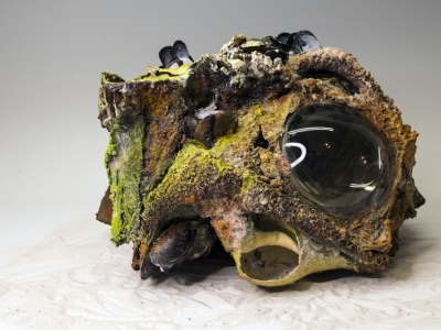 MAGNIFIED, 2019, Mixed media paper sculpture, carborundum monoprints, magnifying lens, pigment, shells, crushed glass, and sand, 10 x 17 x 14 inches