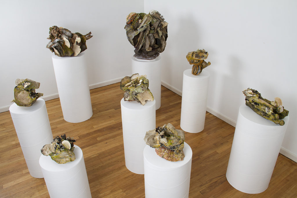 PLANT CURE installation is a group of mixed media sculptural books made with carborundum and solar plate prints on paper, dried mushrooms, pewter, wood, plastic, refractive magnify lens, parabolic mirrors, sand, glass beads and pigments.  
