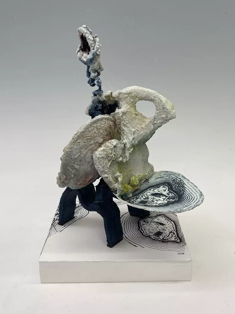 THE CARTOGRAPHER, view 1 2026, mixed media, 16 x 11 x 9